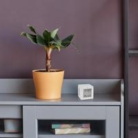 TFA Dostmann WLAN Gateway TFA.me ID-01 35.8103.02 WiFi-weerstation - thumbnail