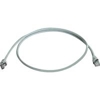 Telegärtner 100008028 RJ45 Netwerkkabel, patchkabel CAT 6A S/FTP 0.25 m Grijs Afgeschermd (dubbel), Snagless, Vlambestendig 1 stuk(s) - thumbnail