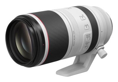 Canon RF 100-500mm F/4.5-7.1L IS USM