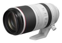 Canon RF 100-500mm F/4.5-7.1L IS USM - thumbnail