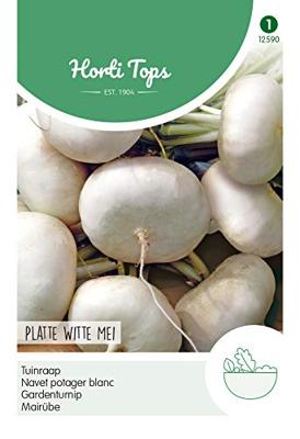 Zaden Rapen Platte Witte Mei Hortitops - Hortitops Zaden Rapen Platte Witte Mei Hortitops - Hortitops