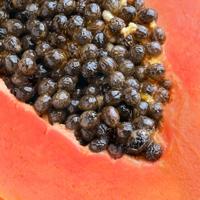 Tandpasta organic whitening papaja - thumbnail