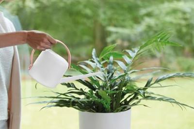 Elho B.for Soft gieter 1,7 liter wit