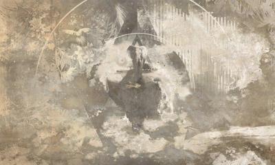 Muance Muance Fotobehang Cosmic wonder - MU12105