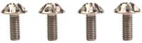 SILCA bevestigingsbout screw silver 4pcs. - thumbnail