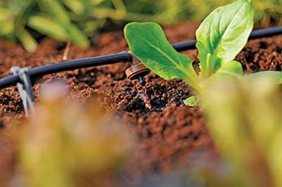 Drukcompenserende inline druppelaar Hozelock - Hozelock