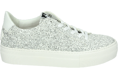 Floris van Bommel VINNI 05.40 - alle Floris van Bommel VINNI 05.40 - alle