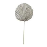 Light & Living Light en living blad plantae licht goudkleurig 87 cm | 12 stuks - thumbnail