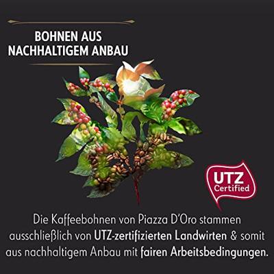 Piazza D'oro - Forza Bonen - 1kg