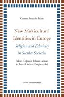 New multicultural identities in Europe - - ebook - thumbnail