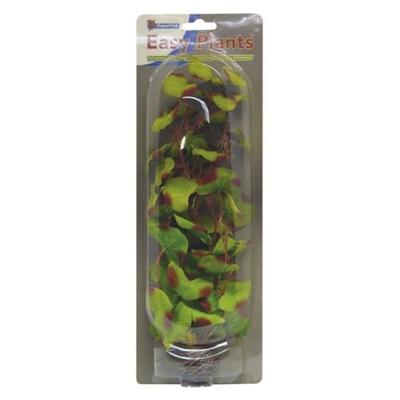 Easy plants hoog 30cm nr. 13 zijde