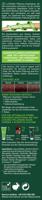 Logona Color creme 220 bordeaux 150 Milliliter - thumbnail