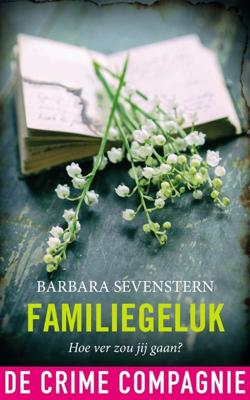 Familiegeluk - Barbara Sevenstern - ebook