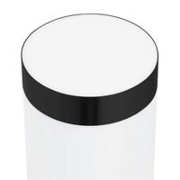 Buitenwandlamp Zwart 12 x 7.5 x 29 cm Roestvrij staal - thumbnail