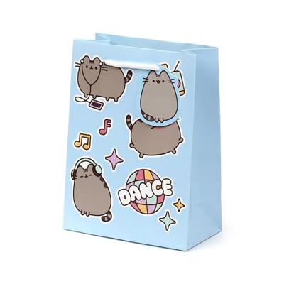 Pusheen de Kat Core Cadeautasje Medium