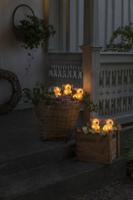 Lichtsnoer LED 5 varkentjes Konstsmide - Konstsmide - thumbnail