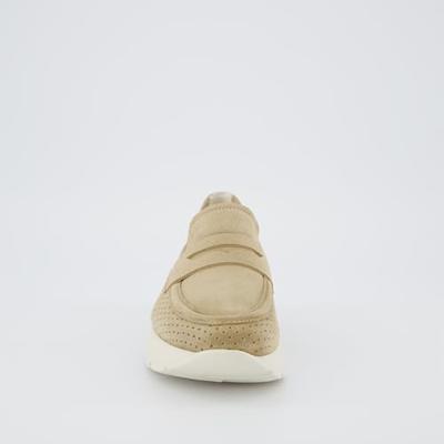 Paul Green 1139 - alle