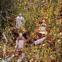 L&apos;Occitane White Lavender Shower Gel 250 ml Douche & bad - thumbnail