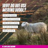 Incylence Merino Strive - Socks - thumbnail