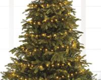 Kerstverlichting LED ricelights buiten 9 meter 120L Lumineo - Lumineo - thumbnail