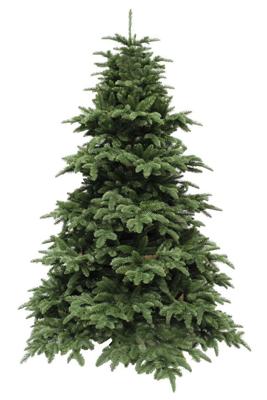 Nordmann kunstkerstboom deluxe abies groen h215 d155 cm Triumph Tree - Triumph tree