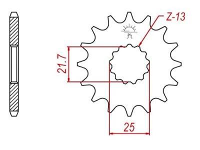ESJOT Sprocket 525 16z racing