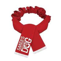 PLENTY GIFTS KERST SJAAL SANTA'S FAVORITE DOG ROOD - thumbnail