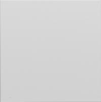 Siedle 200016939-01 Functiemodule voor Accessoires voor deurintercom Wit - thumbnail