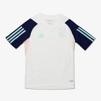 Ajax Trainingsshirt Junior Wit 2023/2024 - Maat 152 - Kleur: WitBlauwRoze | Soccerfanshop - thumbnail