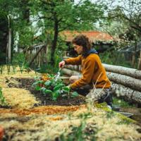 FISKARS "xact" onkruidsteker hand weed cutter xact length 396mm - thumbnail