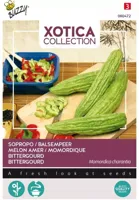 Zaden Xotica Sopropo Balsempeer Buzzy - Buzzy - thumbnail