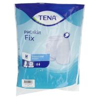 Tena Proskin Fix Medium 5 - thumbnail