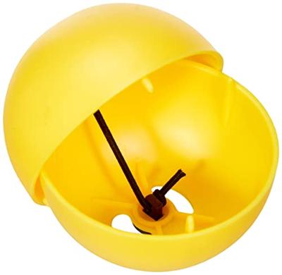 Savic kippenspeeltje chicken fun