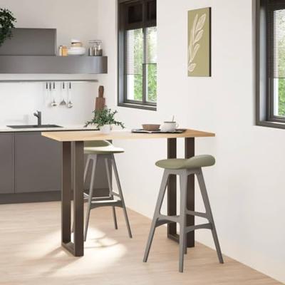 Bartafelpoten 2 st U-vormig 50x(100-101) cm staal naturel