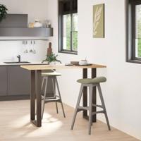 Bartafelpoten 2 st U-vormig 50x(100-101) cm staal naturel - thumbnail