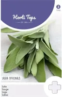 Zaden Salie Hortitops - Hortitops - thumbnail