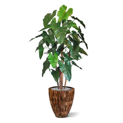 Philodendron deluxe kunstboom 170cm Philodendron deluxe kunstboom 170cm