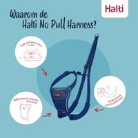 Hondentuigje Company of Animals Blue 20 - thumbnail