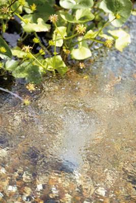 Oase 57063 AquaOxy 500 Luchtpomp 500 l/h