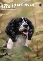 Engelse Springer Spaniel A3 Kalender 2026 - thumbnail