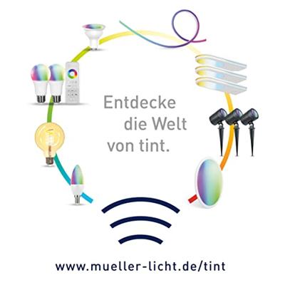 Müller-Licht tint LED-lamp (los) Globe Gold retro white+ambiance Energielabel: G (A - G) GZ10 5.5 W Müller-Licht tint LED-lamp (los) Globe Gold retro white+ambiance Energielabel: G (A - G) GZ10 5.5 W