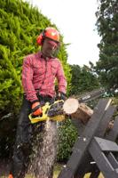 Ryobi Elektrische kettingzaag 1900W, 35cm - RCS1935B - 5133004338 - thumbnail