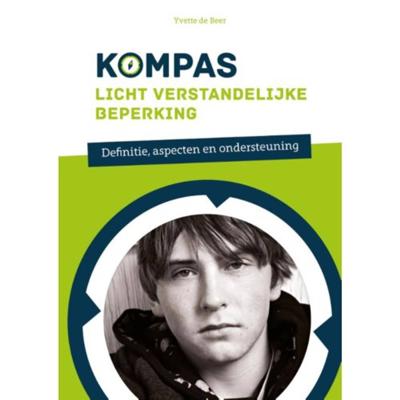 Licht verstandelijke beperking (Paperback)