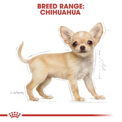 Royal Canin Chihuahua voer voor puppy 1.5kg