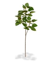 Cercis Canadensis kunsttak 80 cm groen - thumbnail