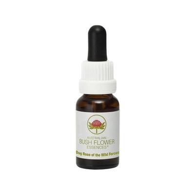 Australian Bush Dog rose of the wild forces 15 Milliliter Australian Bush Dog rose of the wild forces 15 Milliliter