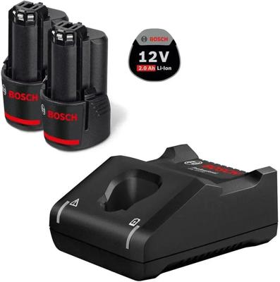 Bosch Professional 1600A019R8 GAL 12V-40 + 2x GBA 12V 2.0Ah Accu en acculader voor gereedschap 12 V 2 Ah Li-ion