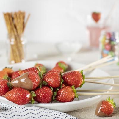 Tristar CF-1603 Mini Chocoladefontein RVS