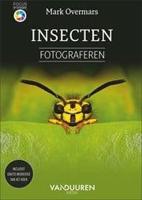 VDM Focus op fotografie; Insecten fotograferen - thumbnail