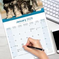 Schnauzer Kalender 2026 - thumbnail
